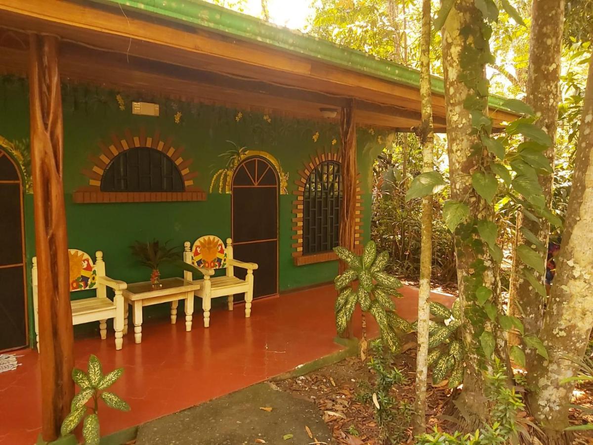 La Palapa Hut Nature Hostel Puerto Jiménez Zewnętrze zdjęcie